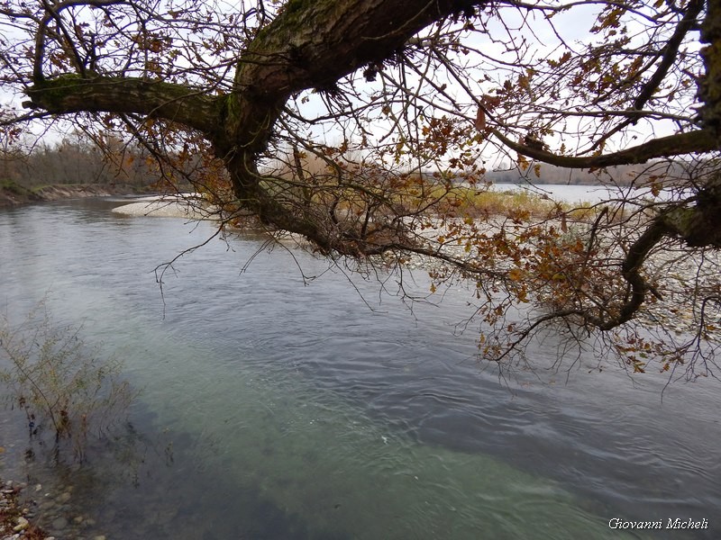 Parco del Ticino 23/11/13